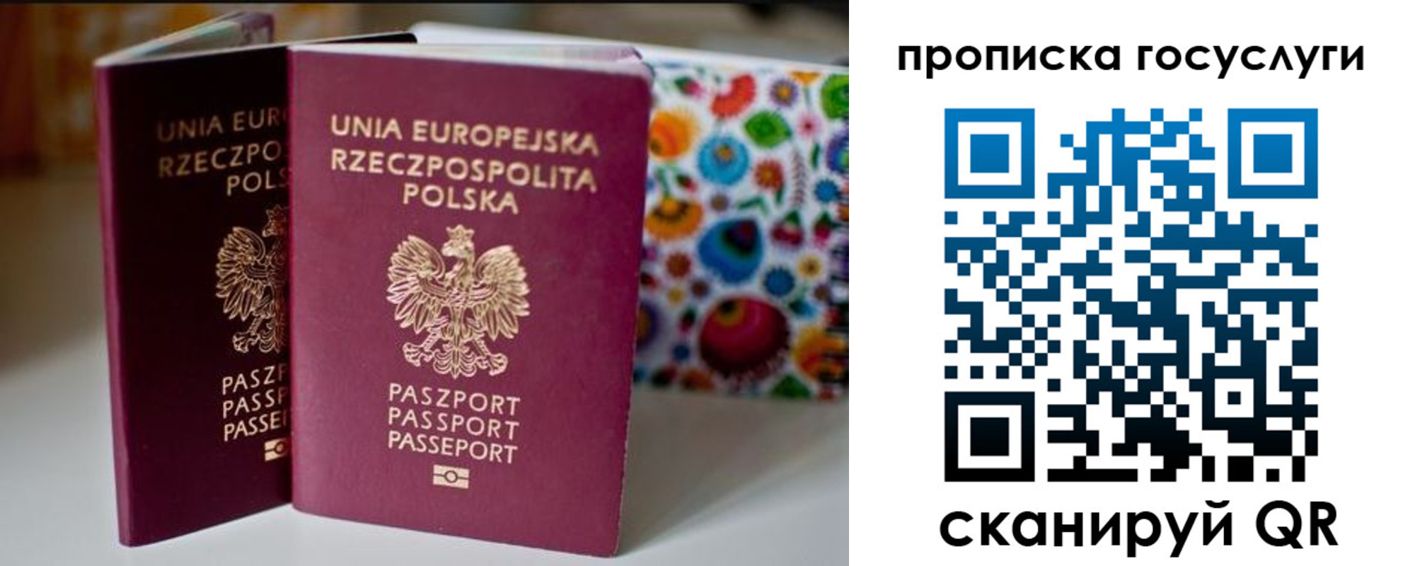 пропишу в квартире в Зеленоградске